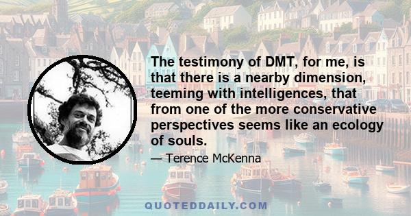 The testimony of DMT, for me, is that there is a nearby dimension, teeming with intelligences, that from one of the more conservative perspectives seems like an ecology of souls.