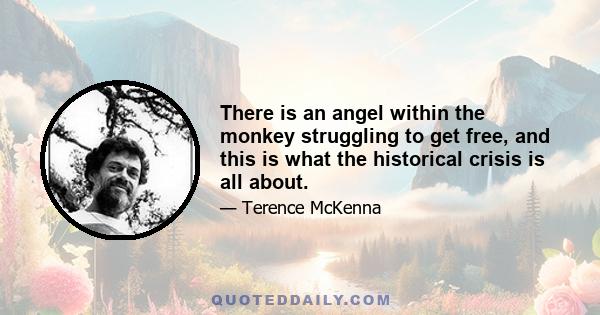 There is an angel within the monkey struggling to get free, and this is what the historical crisis is all about.