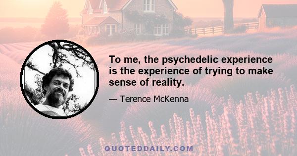 To me, the psychedelic experience is the experience of trying to make sense of reality.