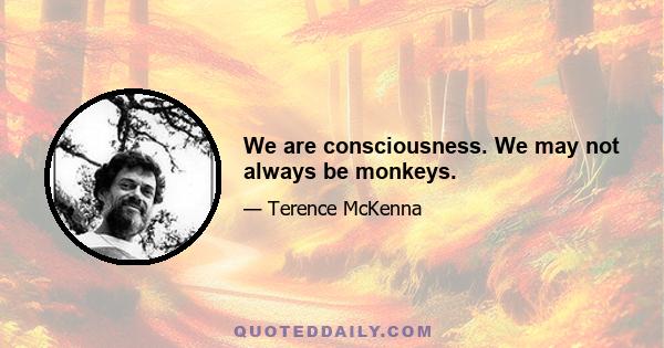 We are consciousness. We may not always be monkeys.