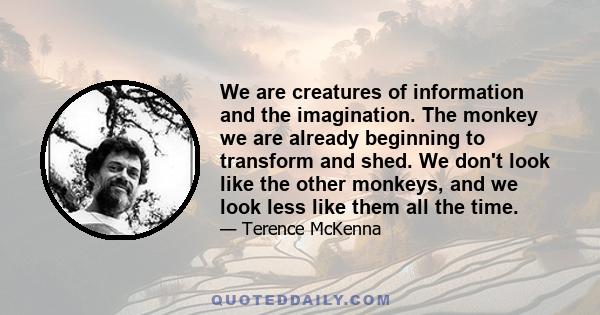 We are creatures of information and the imagination. The monkey we are already beginning to transform and shed. We don't look like the other monkeys, and we look less like them all the time.