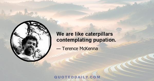 We are like caterpillars contemplating pupation.