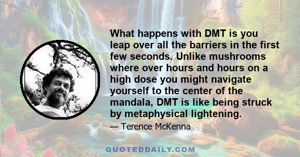 What happens with DMT is you leap over all the barriers in the first few seconds. Unlike mushrooms where over hours and hours on a high dose you might navigate yourself to the center of the mandala, DMT is like being