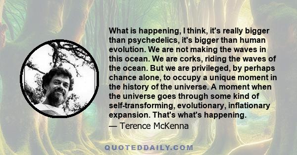 What is happening, I think, it's really bigger than psychedelics, it's bigger than human evolution. We are not making the waves in this ocean. We are corks, riding the waves of the ocean. But we are privileged, by