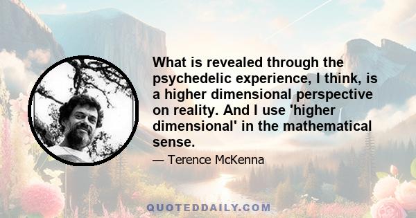 What is revealed through the psychedelic experience, I think, is a higher dimensional perspective on reality. And I use 'higher dimensional' in the mathematical sense.