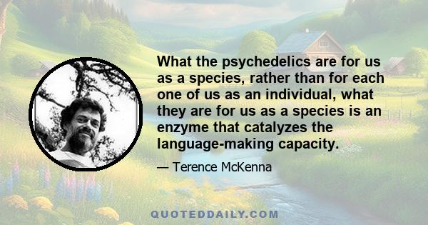 What the psychedelics are for us as a species, rather than for each one of us as an individual, what they are for us as a species is an enzyme that catalyzes the language-making capacity.