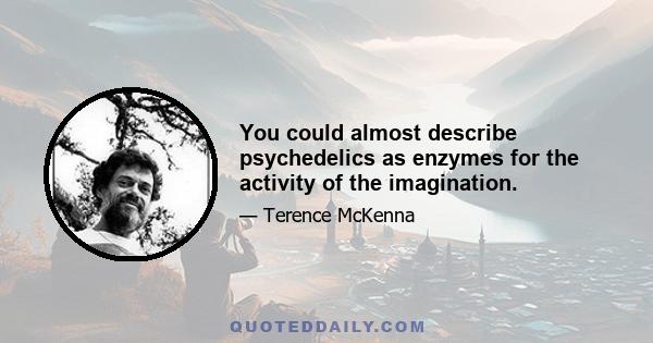 You could almost describe psychedelics as enzymes for the activity of the imagination.