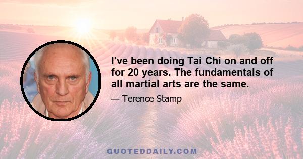 I've been doing Tai Chi on and off for 20 years. The fundamentals of all martial arts are the same.