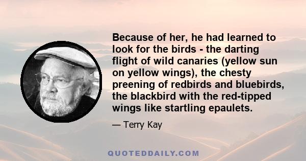 Because of her, he had learned to look for the birds - the darting flight of wild canaries (yellow sun on yellow wings), the chesty preening of redbirds and bluebirds, the blackbird with the red-tipped wings like