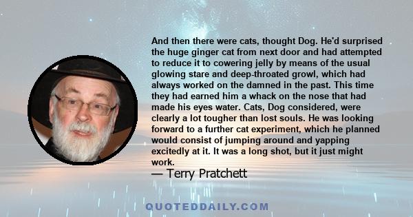 And then there were cats, thought Dog. He'd surprised the huge ginger cat from next door and had attempted to reduce it to cowering jelly by means of the usual glowing stare and deep-throated growl, which had always