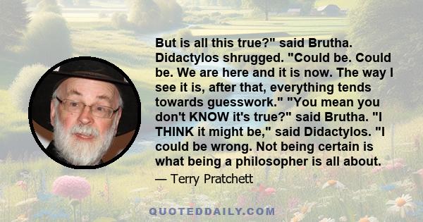 But is all this true? said Brutha. Didactylos shrugged. Could be. Could be. We are here and it is now. The way I see it is, after that, everything tends towards guesswork. You mean you don't KNOW it's true? said Brutha. 