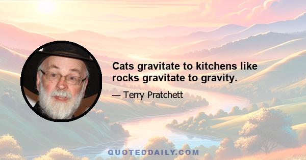 Cats gravitate to kitchens like rocks gravitate to gravity.