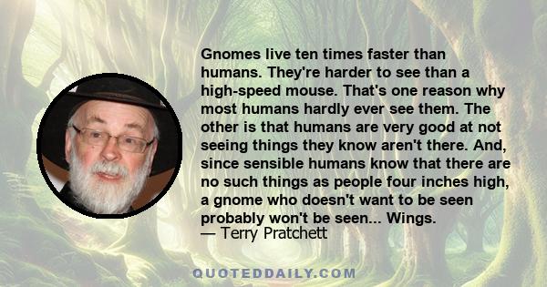 Gnomes live ten times faster than humans. They're harder to see than a high-speed mouse. That's one reason why most humans hardly ever see them. The other is that humans are very good at not seeing things they know