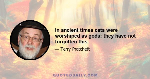 In ancient times cats were worshiped as gods; they have not forgotten this.