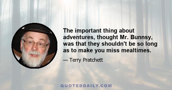The important thing about adventures, thought Mr. Bunnsy, was that they shouldn't be so long as to make you miss mealtimes.
