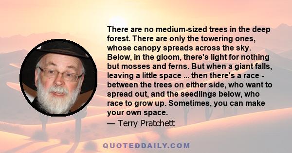 There are no medium-sized trees in the deep forest. There are only the towering ones, whose canopy spreads across the sky. Below, in the gloom, there's light for nothing but mosses and ferns. But when a giant falls,