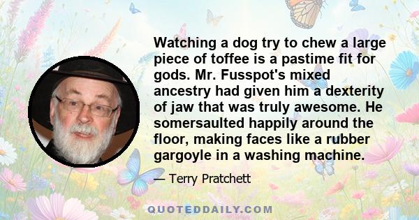 Watching a dog try to chew a large piece of toffee is a pastime fit for gods. Mr. Fusspot's mixed ancestry had given him a dexterity of jaw that was truly awesome. He somersaulted happily around the floor, making faces