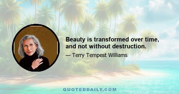 Beauty is transformed over time, and not without destruction.