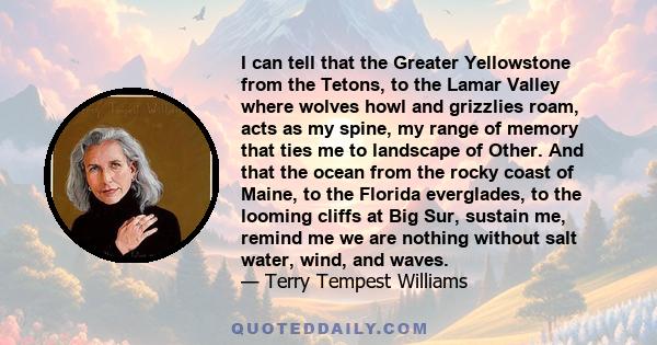 I can tell that the Greater Yellowstone from the Tetons, to the Lamar Valley where wolves howl and grizzlies roam, acts as my spine, my range of memory that ties me to landscape of Other. And that the ocean from the