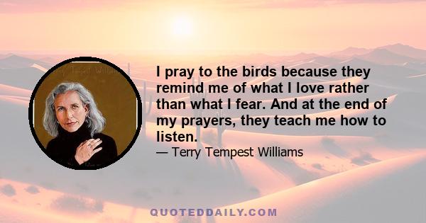 I pray to the birds because they remind me of what I love rather than what I fear. And at the end of my prayers, they teach me how to listen.