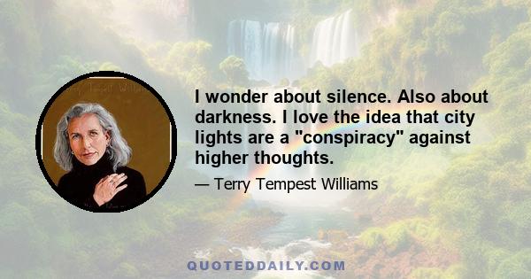 I wonder about silence. Also about darkness. I love the idea that city lights are a conspiracy against higher thoughts.