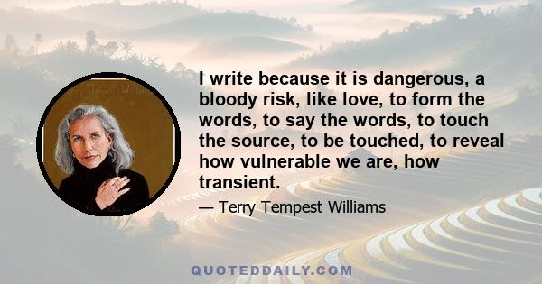 I write because it is dangerous, a bloody risk, like love, to form the words, to say the words, to touch the source, to be touched, to reveal how vulnerable we are, how transient.