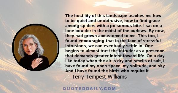 The hostility of this landscape teaches me how to be quiet and unobtrusive, how to find grace among spiders with a poisonous bite. I sat on a lone boulder in the midst of the curlews. By now, they had grown accustomed