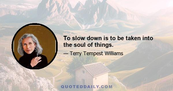 To slow down is to be taken into the soul of things.