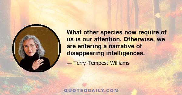 What other species now require of us is our attention. Otherwise, we are entering a narrative of disappearing intelligences.