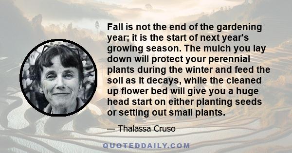 Fall is not the end of the gardening year; it is the start of next year's growing season. The mulch you lay down will protect your perennial plants during the winter and feed the soil as it decays, while the cleaned up