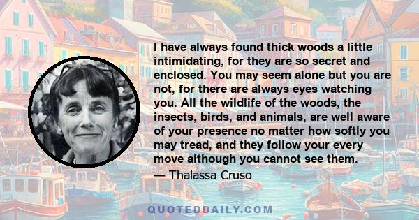 I have always found thick woods a little intimidating, for they are so secret and enclosed. You may seem alone but you are not, for there are always eyes watching you. All the wildlife of the woods, the insects, birds,