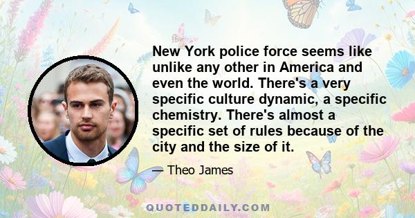 New York police force seems like unlike any other in America and even the world. There's a very specific culture dynamic, a specific chemistry. There's almost a specific set of rules because of the city and the size of