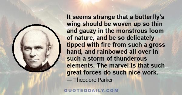 It seems strange that a butterfly's wing should be woven up so thin and gauzy in the monstrous loom of nature, and be so delicately tipped with fire from such a gross hand, and rainbowed all over in such a storm of