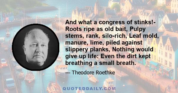 And what a congress of stinks!- Roots ripe as old bait, Pulpy stems, rank, silo-rich, Leaf mold, manure, lime, piled against slippery planks, Nothing would give up life: Even the dirt kept breathing a small breath.