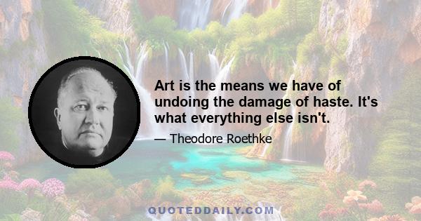 Art is the means we have of undoing the damage of haste. It's what everything else isn't.