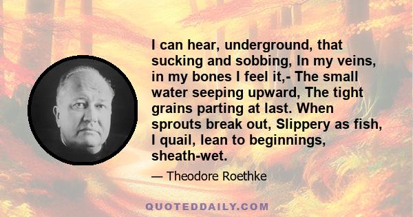 I can hear, underground, that sucking and sobbing, In my veins, in my bones I feel it,- The small water seeping upward, The tight grains parting at last. When sprouts break out, Slippery as fish, I quail, lean to