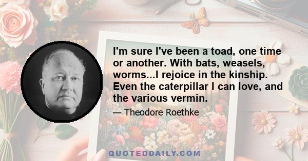 I'm sure I've been a toad, one time or another. With bats, weasels, worms...I rejoice in the kinship. Even the caterpillar I can love, and the various vermin.