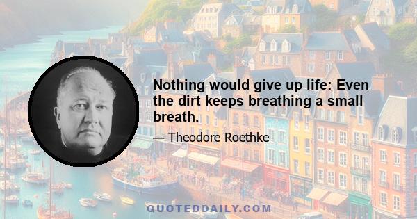 Nothing would give up life: Even the dirt keeps breathing a small breath.