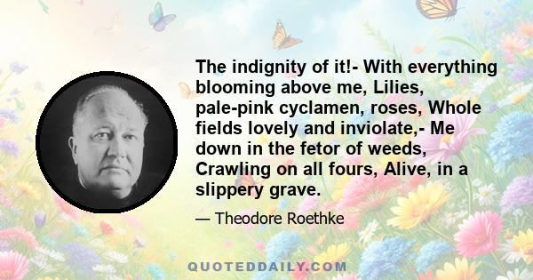 The indignity of it!- With everything blooming above me, Lilies, pale-pink cyclamen, roses, Whole fields lovely and inviolate,- Me down in the fetor of weeds, Crawling on all fours, Alive, in a slippery grave.