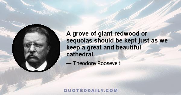 A grove of giant redwood or sequoias should be kept just as we keep a great and beautiful cathedral.