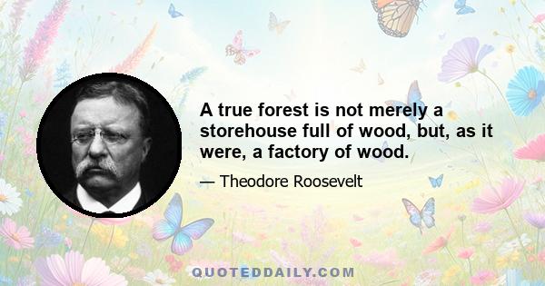 A true forest is not merely a storehouse full of wood, but, as it were, a factory of wood.