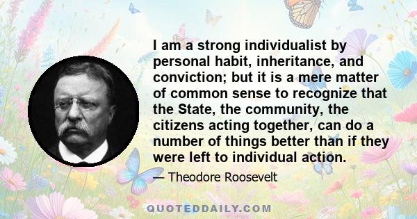 I am a strong individualist by personal habit, inheritance, and conviction; but it is a mere matter of common sense to recognize that the State, the community, the citizens acting together, can do a number of things