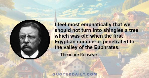 I feel most emphatically that we should not turn into shingles a tree which was old when the first Egyptian conqueror penetrated to the valley of the Euphrates.