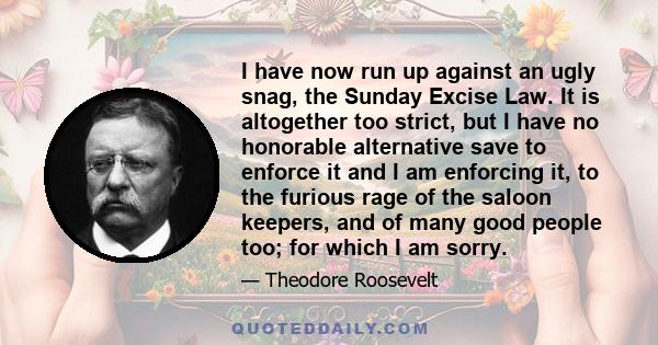 I have now run up against an ugly snag, the Sunday Excise Law. It is altogether too strict, but I have no honorable alternative save to enforce it and I am enforcing it, to the furious rage of the saloon keepers, and of 