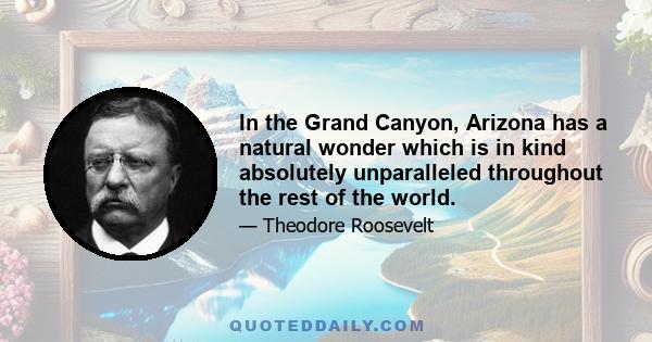 In the Grand Canyon, Arizona has a natural wonder which is in kind absolutely unparalleled throughout the rest of the world. I want to ask you to keep this great wonder of nature as it now is. I hope you will not have a 