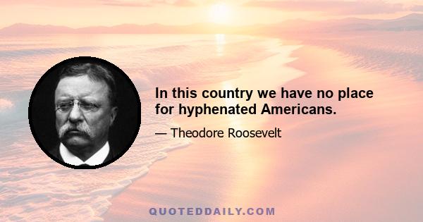 In this country we have no place for hyphenated Americans.