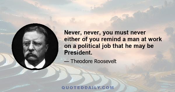 Never, never, you must never either of you remind a man at work on a political job that he may be President.