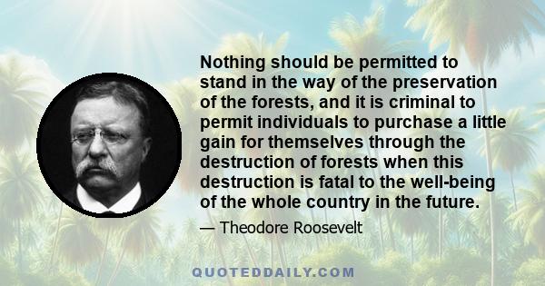 Nothing should be permitted to stand in the way of the preservation of the forests, and it is criminal to permit individuals to purchase a little gain for themselves through the destruction of forests when this