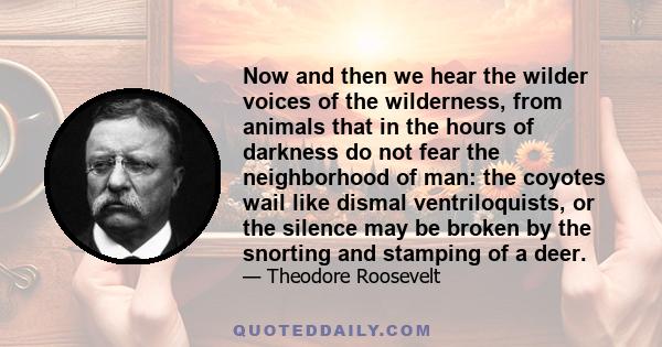 Now and then we hear the wilder voices of the wilderness, from animals that in the hours of darkness do not fear the neighborhood of man: the coyotes wail like dismal ventriloquists, or the silence may be broken by the