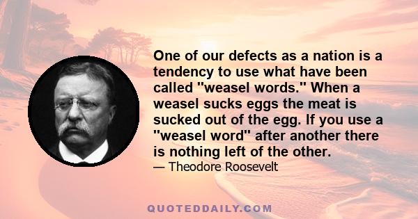 One of our defects as a nation is a tendency to use what have been called ''weasel words.'' When a weasel sucks eggs the meat is sucked out of the egg. If you use a ''weasel word'' after another there is nothing left of 